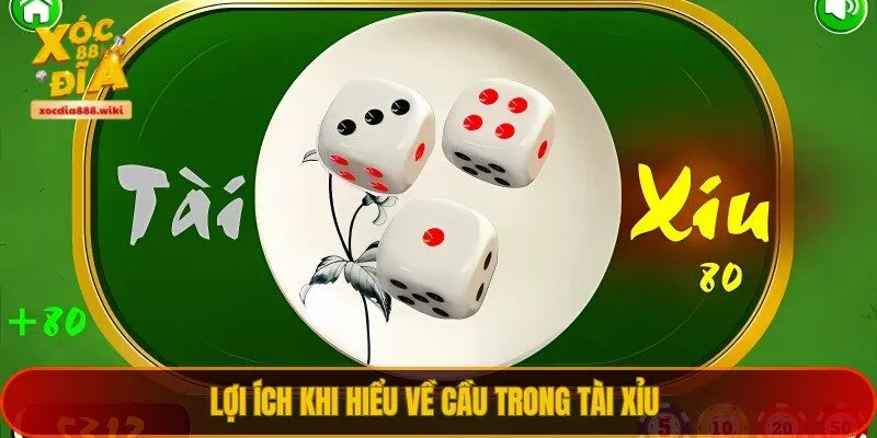 Lợi ích khi hiểu về cầu trong tài xỉu