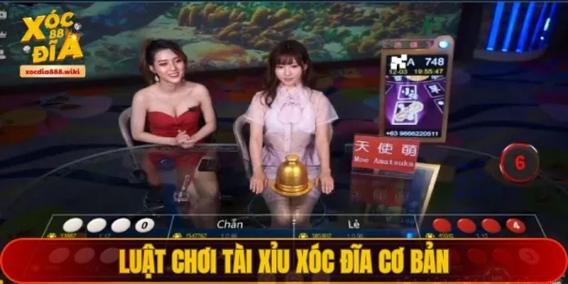 Luật chơi chung của Tài xỉu xóc đĩa